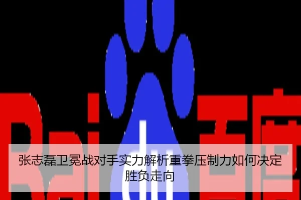 张志磊卫冕战对手实力解析重拳压制力如何决定胜负走向